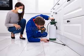 Best Residential Pest Control  in Millville, UT